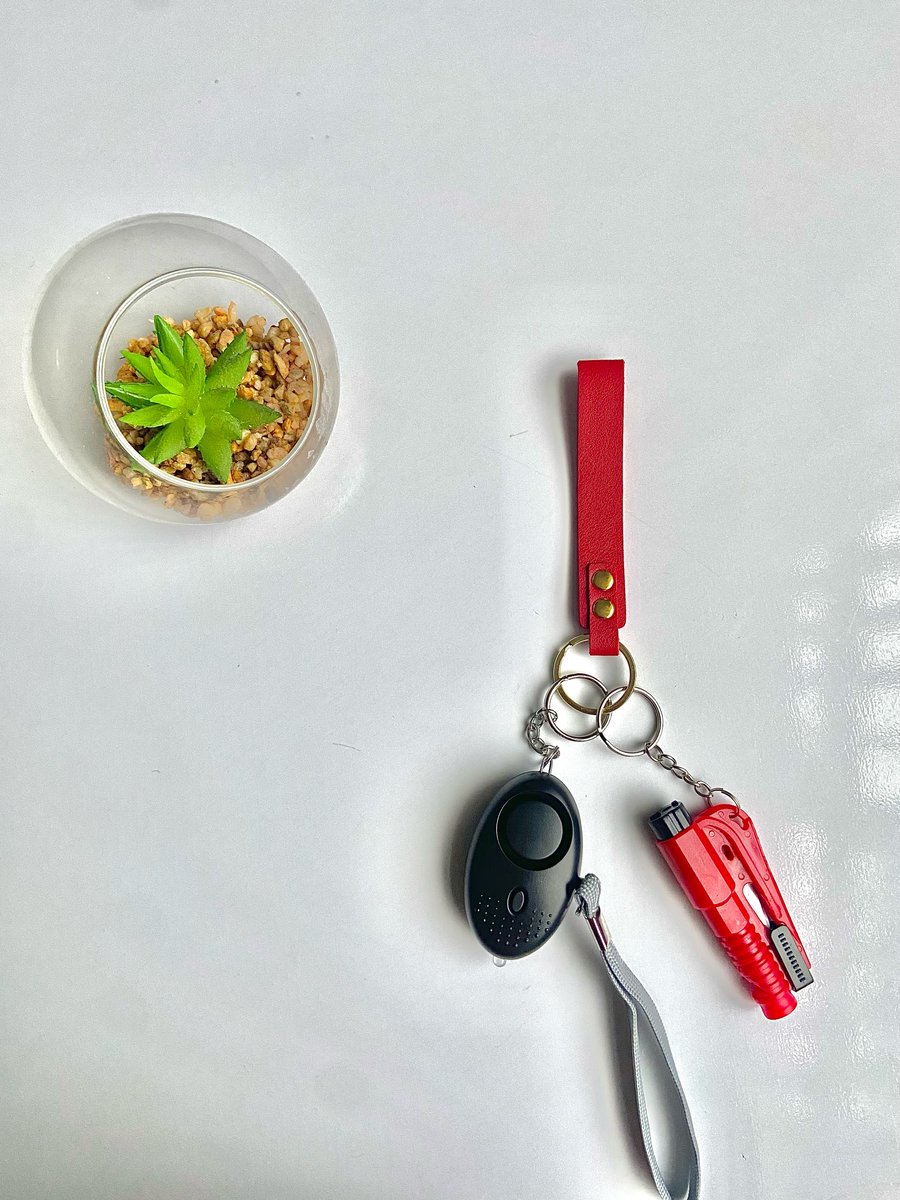 Image of Red simple keychain