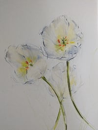 Tulips no. V