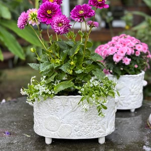 Image of Australian Native Flower Double Cachepot (4262)