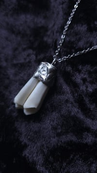 Image 8 of Sheep tooth necklace