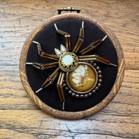 Image 4 of Dried flower spider (c, 3.5  inches)