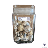 PR AMVP MAGIC MUSHROOMS