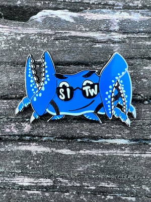Image of MR. 2UP 2 DOWN SITW LAPEL PIN