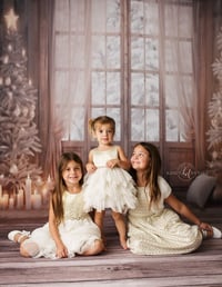 Image 1 of 2023 Holiday Mini Sessions November 18th