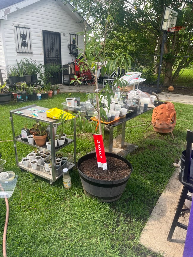 Gardening Classes (1 Hour Zoom Class) Tour Included