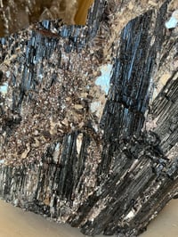 Image 4 of Large Black Tourmaline With Golden Mica #2064