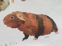 Rocket & Co. - Guinea Pig Breeds tea towel