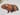 Rocket & Co. - Guinea Pig Breeds tea towel 