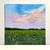 Image of Spring Field Original Acrylic painting