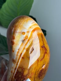 Image 3 of XL ORBICULAR CARNELIAN FREEFORM -MADAGASCAR-