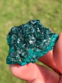 Image 4 of Dioptase Specimen #2214