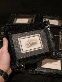 Image 1 of Large ornate Memorial Card 1800s - real preserved spider web C