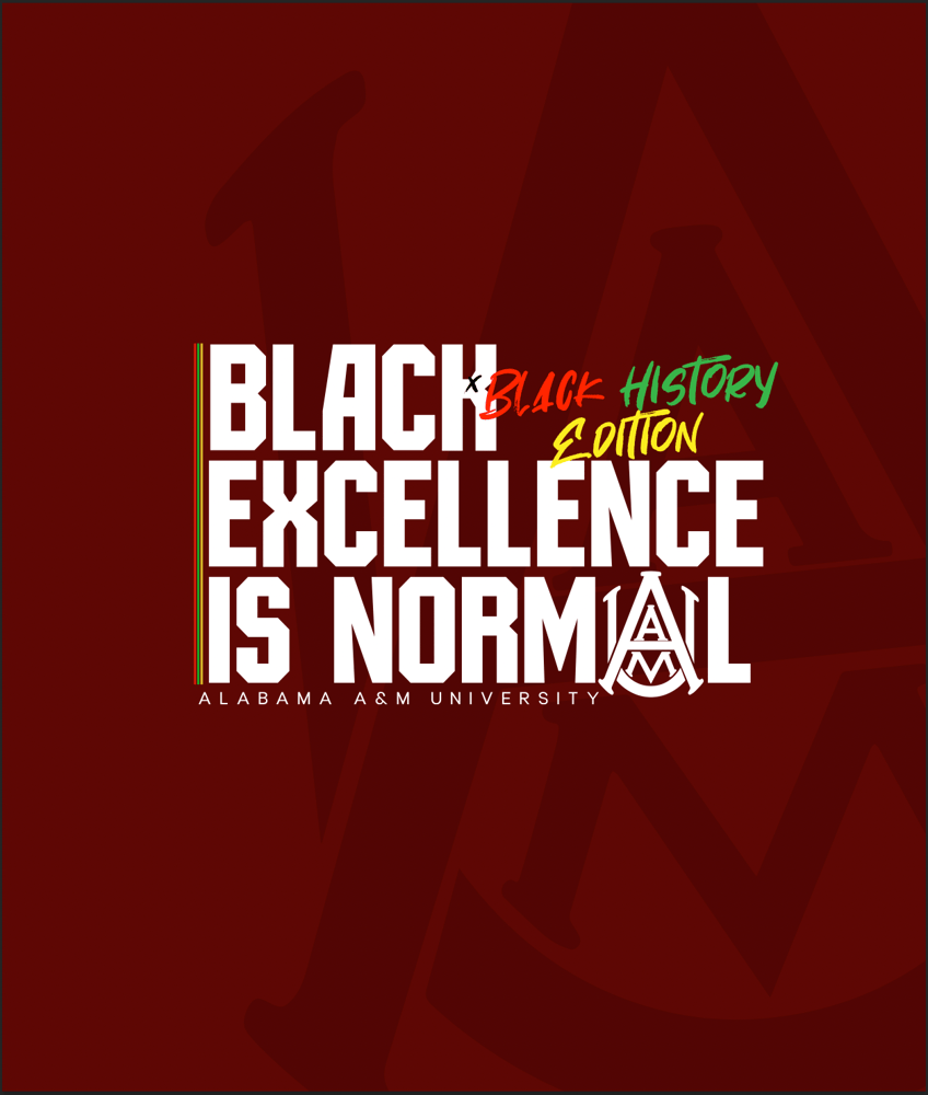 Image of Black Excellence is NORMAL - Maroon