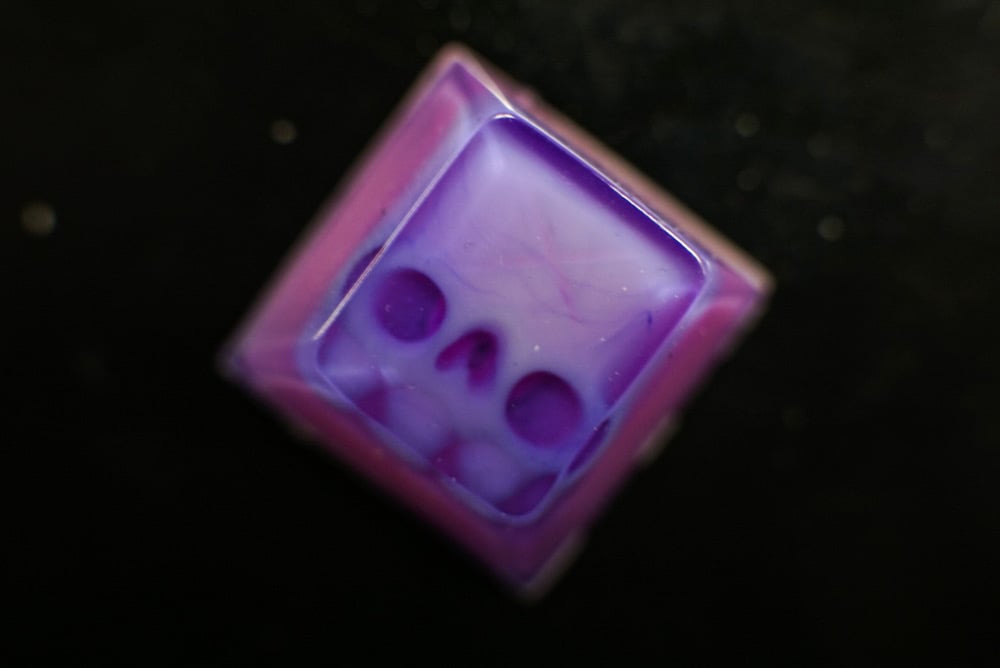 Cherry blossom Blokey