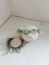 Image 2 of FEARNE newborn- 3 years