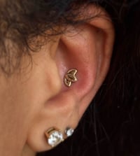 Image 2 of Imperial Bloom