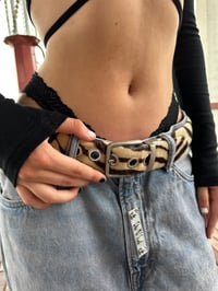 Image 1 of Zebra Mocha Belt