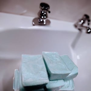 Image of Himalayan Eucalyptus