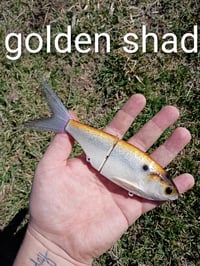 Image 4 of Snack Shad