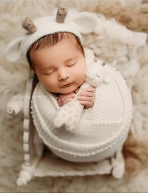 Image of Giraffe lovey preorder