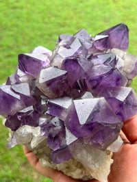 Image 10 of Amethyst Points Cluster | Congo #2868