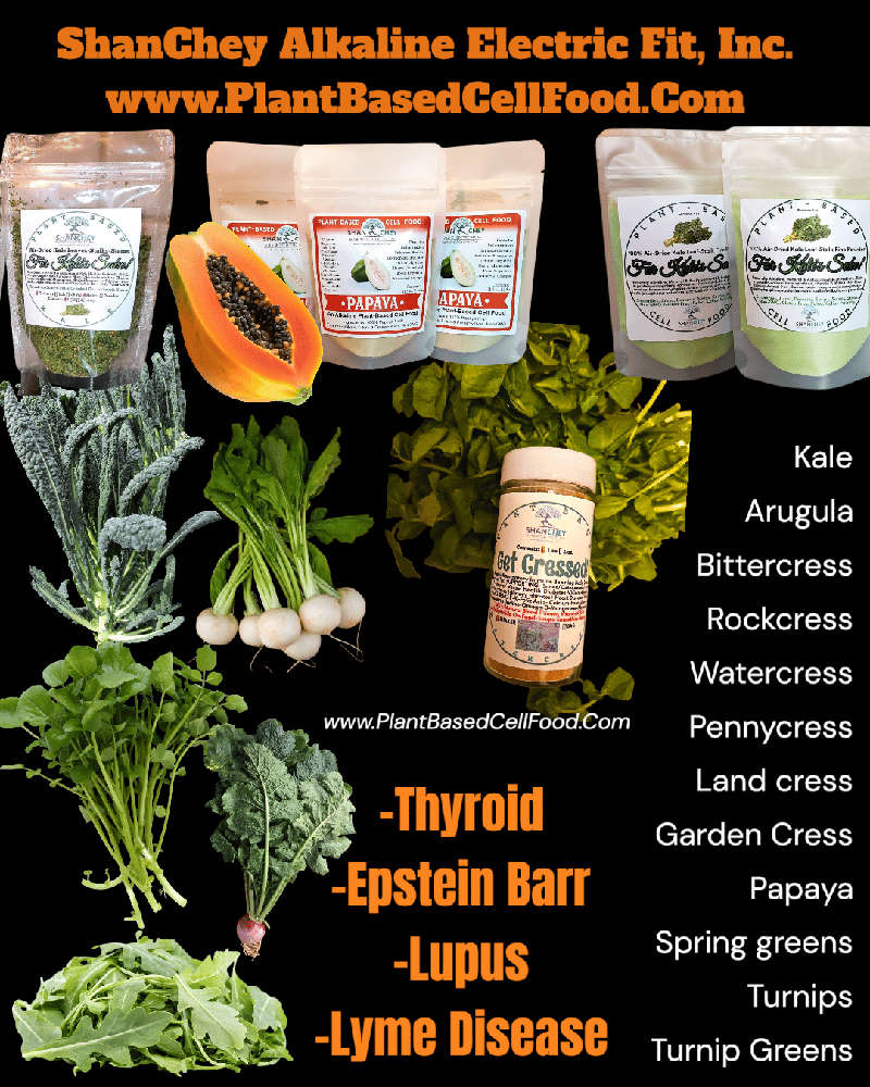 VEGETABLE FLAKES. Kale-Alfalfa-Watercress-Dandelion. 