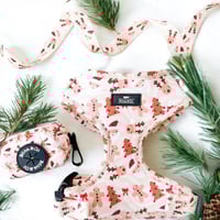 Image 4 of Paws & Presents Christmas Harness Collection
