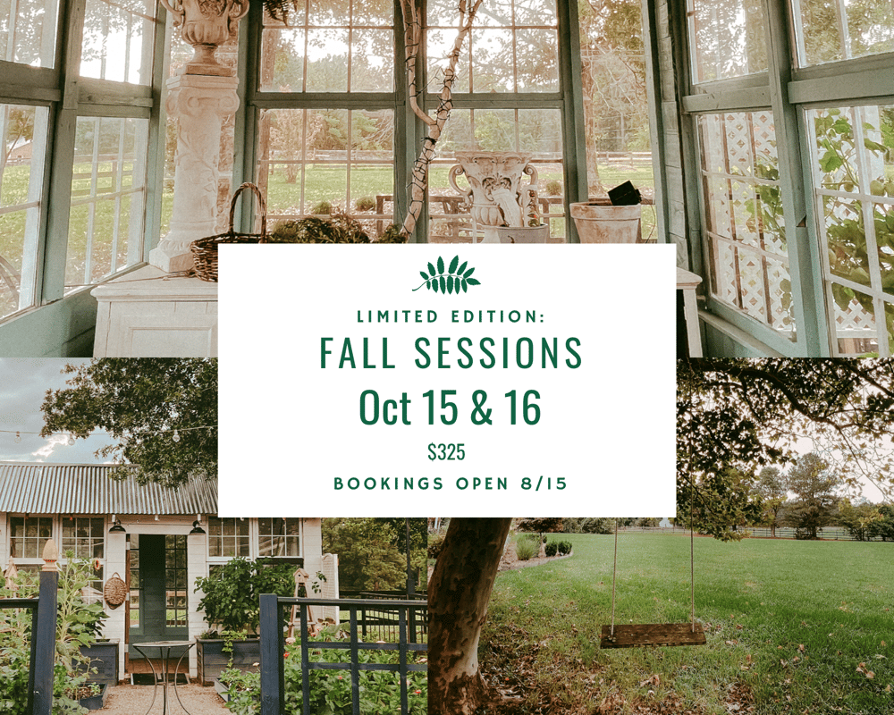 Image of Limited Edition: Fall Sessions 2022