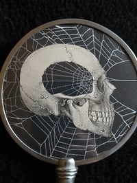 Image 3 of Repurposed Vanity series antique Anatomical with preserved web F