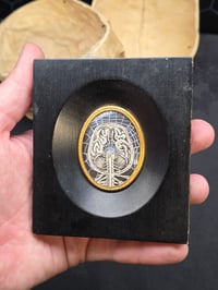 Image 4 of ANTIQUE ANATOMICAL COLLECTION - Preserved web- BRAIN