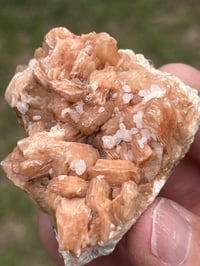 Image 5 of Peach Stilbite Specimen #2619