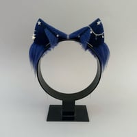 Image 1 of Starlight Navy Kitten