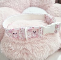 dainty bears collar