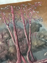 Image 5 of Anciens albums à cartes postales