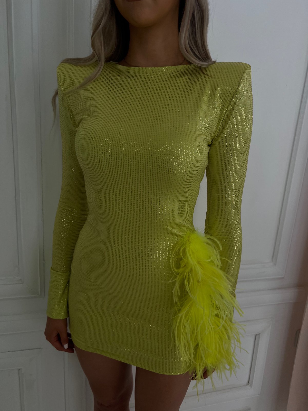 Image of Green glitter dress with ostrich feather detail 