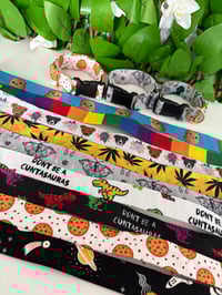 CLEARANCE - Extra Small 