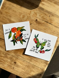 Bug Print Pack (2 8x8 Art Prints)