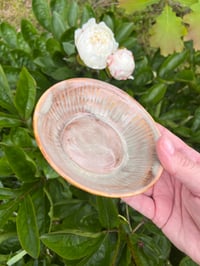 Image 3 of Mushroom Bowl