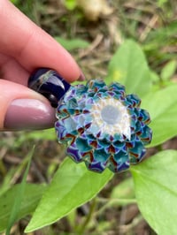 Image 3 of Blue Iris