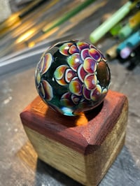 Image 6 of Amber Purple Jungle