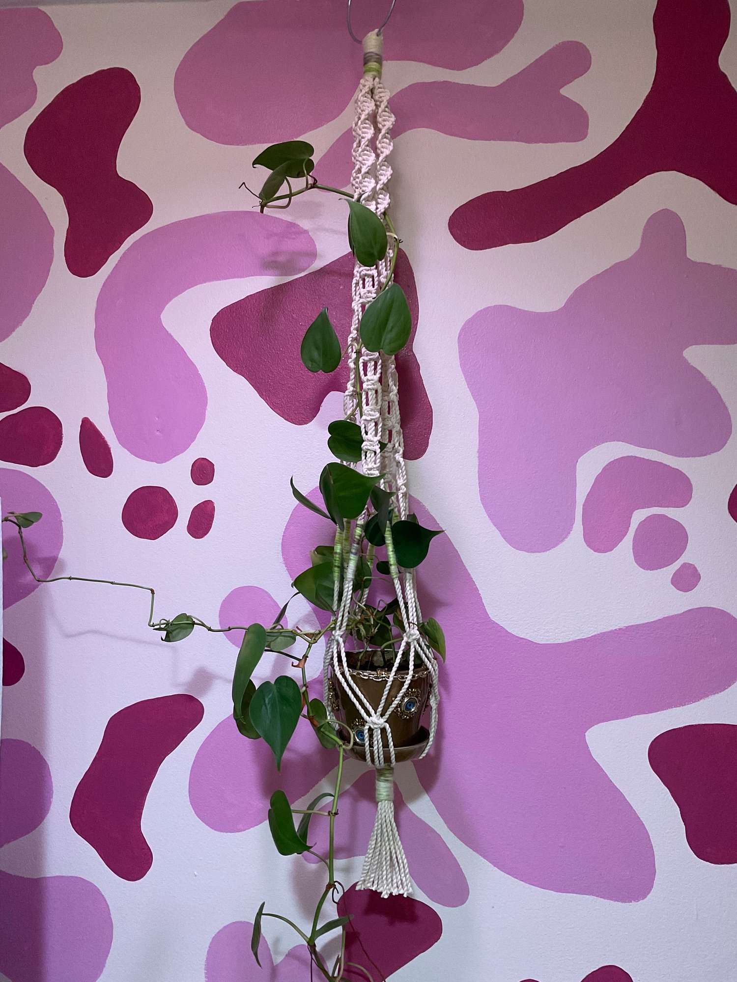 Image of Miss Moss Plant Hanger