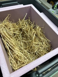 Image 11 of "Purricane Vault" Rapid Insulated Self-Warming Outdoor Cat Shelter