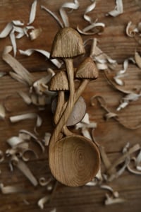 Image 1 of Magical Mushroom Spoon