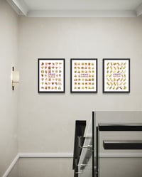 Image 4 of CHICAGO COLLECTION