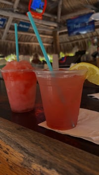 Image 5 of $100 TRIP PLANNING