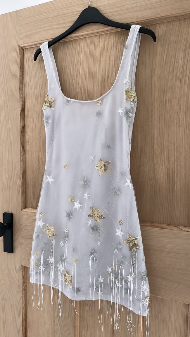 The Starry Night Dress. Star Embelleshed Grey Tulle, White Velvet Dress