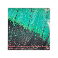 Image 2 of The Charlottes - Things Come Apart LP