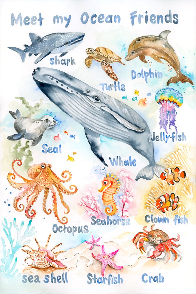 Image of Meet my Ocean Friends