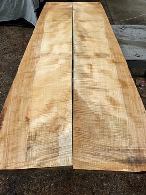 curly silver maple panel bookmatch