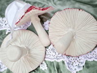 Image 3 of Porcelain Mushroom Baubles